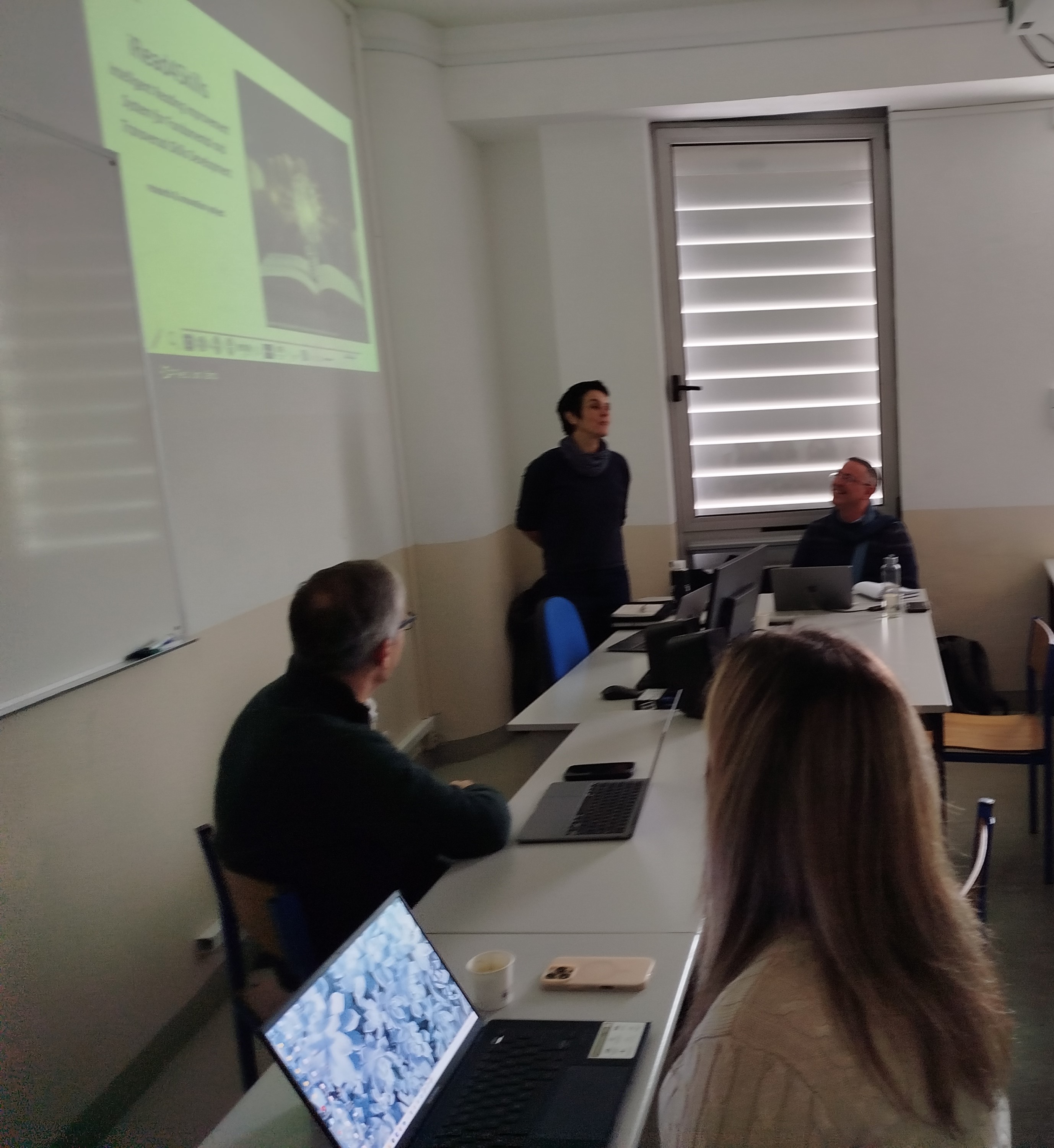 Cocria&ccedil;&atilde;o